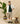 BERMUDA CARGO NYLON SHORTS